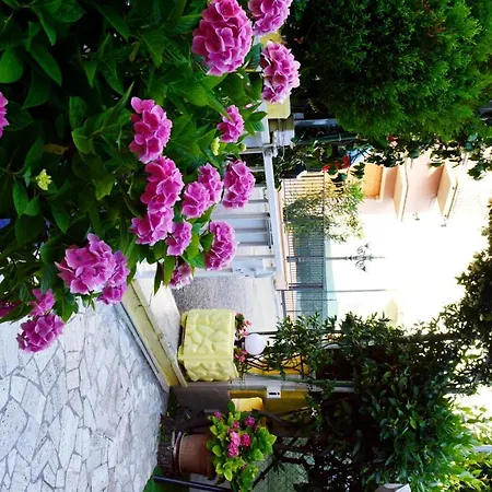 New Cirene For Two People Half * Rimini